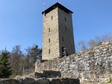 Burg Altnussberg